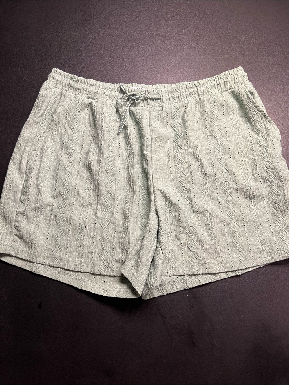 Light Sage Textured Drawstring Women's Shorts size L